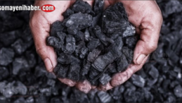 Yazın 700’lerde olan kömür 2000 bin lirayı aştı