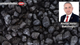 Kömür Krizi Kapıda Yaz sıcağında vatandaşı kömür telaşı sardı