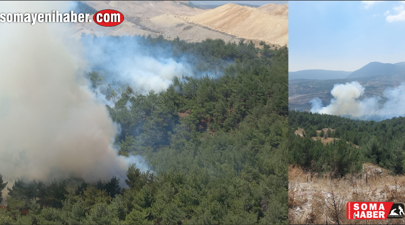 Somada orman yangını, ekipler müdahale ediyor