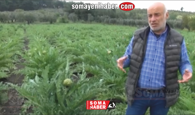 Soma’da çiftçiler farklı ürünlere yöneliyor